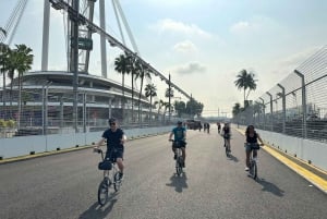 Singapore: Private Historical & Highlight City Bike Tour