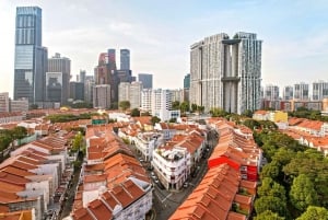 Historia y Cultura de Singapur: Viaje del Pasado al Presente
