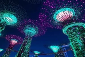 Singapore: Private Nighttime Sightseeing with River Cruise