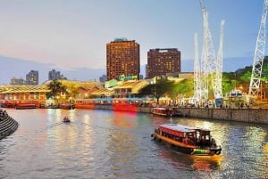 Singapore: Private Nighttime Sightseeing with River Cruise