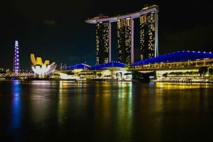 Singapore: Private Nighttime Sightseeing with River Cruise