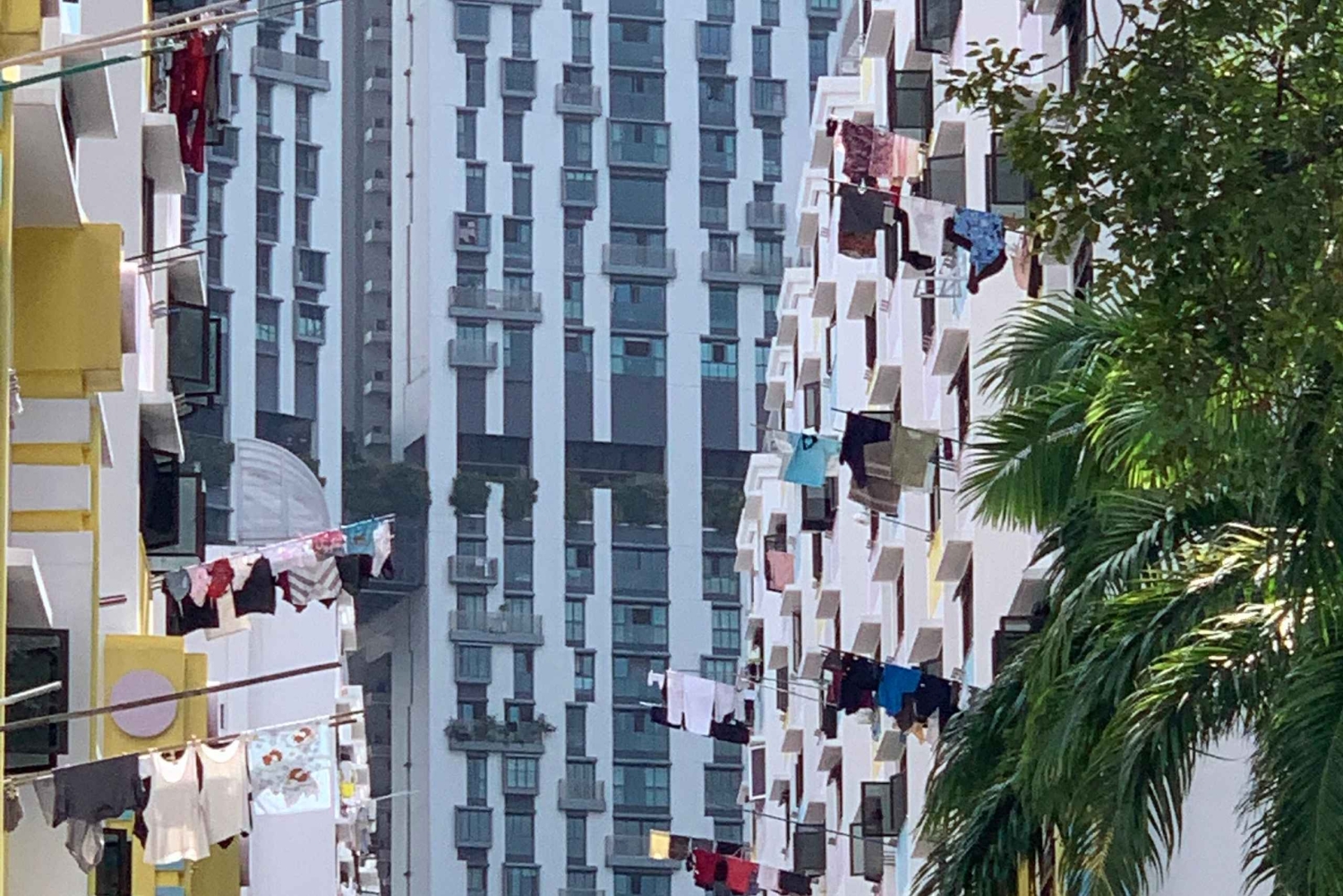 Singapore: Private Public Housing & Local Life Walking Tour