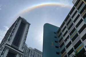 Singapore: Private Public Housing & Local Life Walking Tour