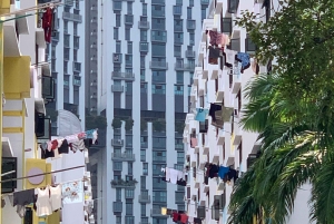 Singapore: Private Public Housing & Local Life Walking Tour