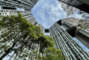 Singapore: Private Public Housing & Local Life Walking Tour