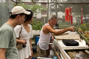 Singapore: Private Public Housing & Local Life Walking Tour
