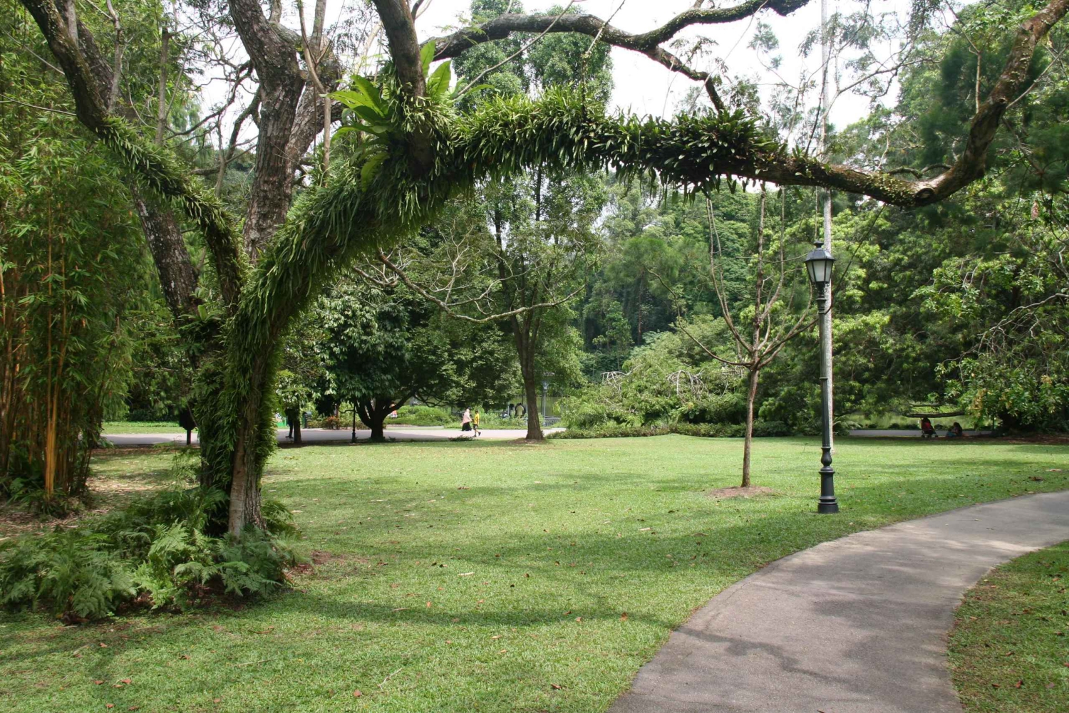 Singapur: Private Tour mit einem Fahrer