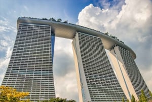 Singapore: Private Tour with a Driver