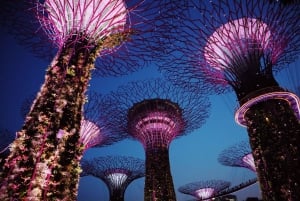 Singapore: Private Tour with a Driver