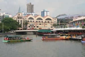 Singapore: Private Tour with a Driver