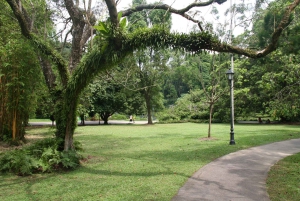 Singapur: Private Tour mit einem Fahrer