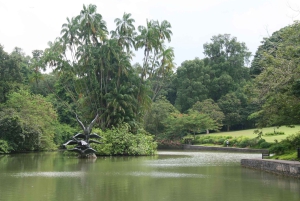 Singapur: Private Tour mit einem Fahrer