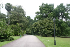 Singapur: Private Tour mit einem Fahrer