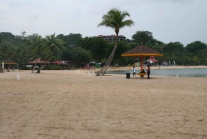 Singapur: Private Tour mit einem Fahrer