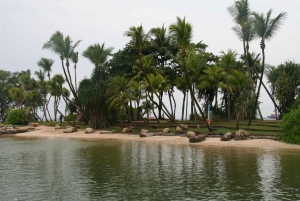 Singapur: Private Tour mit einem Fahrer