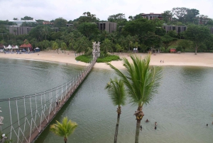 Singapur: Private Tour mit einem Fahrer