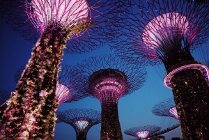 Singapore: Private Tour with a Local Guide