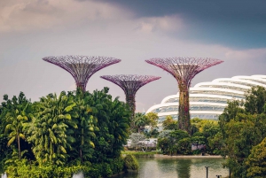Singapore: Professional photoshoot at Gardens by the Bay