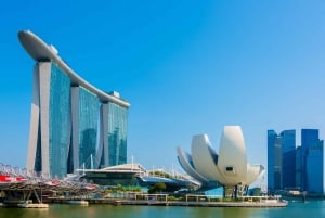 Singapur: Sesión de fotos profesional en el Parque Merlion
