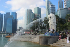 Singapore: Professionele fotoshoot in het Merlion Park