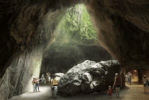 Singapore: Rainforest Wild Asia Entry Ticket