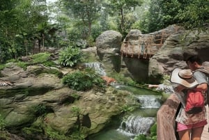 Singapore: Rainforest Wild Asia Entry Ticket