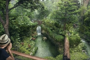 Singapore: Rainforest Wild Asia Entry Ticket