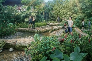 Singapore: Rainforest Wild Asia Entry Ticket