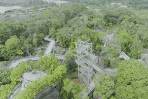 Singapore: Rainforest Wild Asia Entry Ticket