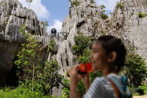 Singapur Rainforest Wild Asia Ticket de entrada