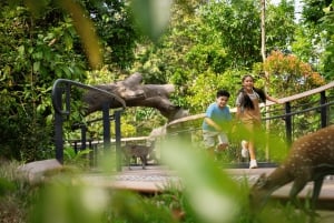 Singapur Rainforest Wild Asia Ticket de entrada