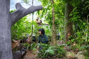 Singapur Rainforest Wild Asia Ticket de entrada