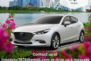 Privat flyplasstransport tur/retur til/fra Changi lufthavn