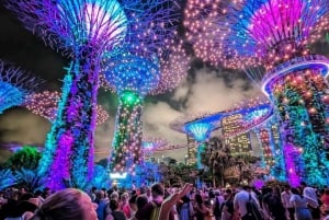 Singapore River Cruise and 2 Must-see Water Light Shows