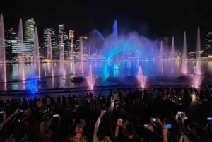 Singapore River Cruise and 2 Must-see Water Light Shows