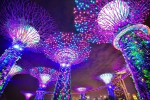 Singapore River Cruise and 2 Must-see Water Light Shows