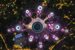 Cruzeiro pelo rio Singapura, Garden Rhapsody noturno e espetáculo Spectra