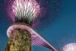 Cruzeiro pelo rio Singapura, Garden Rhapsody noturno e espetáculo Spectra