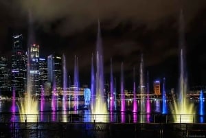 Cruzeiro pelo rio Singapura, Garden Rhapsody noturno e espetáculo Spectra