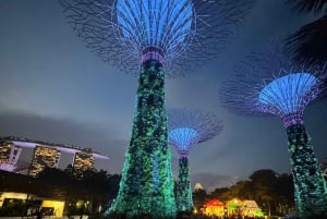 Singapore elvecruise, Night Garden Rhapsody og Spectra Show