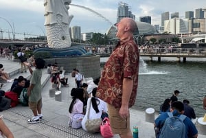 Singapore elvecruise, Night Garden Rhapsody og Spectra Show