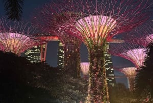 Singapore elvecruise, Night Garden Rhapsody og Spectra Show