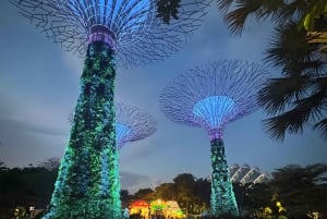 Singapore elvecruise, Night Garden Rhapsody og Spectra Show