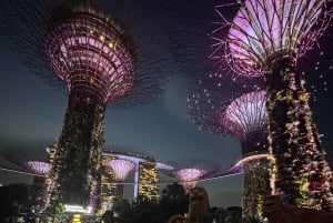 Singapore elvecruise, Night Garden Rhapsody og Spectra Show
