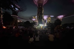 Singapore elvecruise, Night Garden Rhapsody og Spectra Show