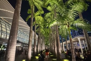 Singapore elvecruise, Night Garden Rhapsody og Spectra Show