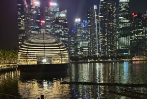 Singapore elvecruise, Night Garden Rhapsody og Spectra Show