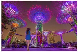 Crociera sul fiume Singapore, spettacolo di luci Spectra e Garden Rhapsody