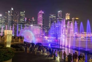 Crociera sul fiume Singapore, spettacolo di luci Spectra e Garden Rhapsody
