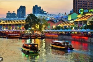 Crociera sul fiume Singapore, spettacolo di luci Spectra e Garden Rhapsody
